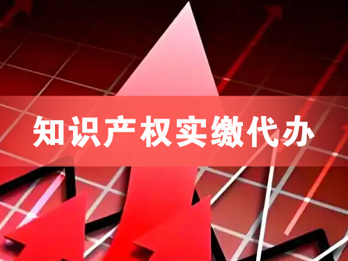 中山知识产权实缴资本代办